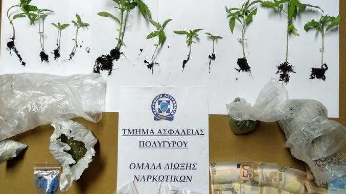 Χασισοφυτεία, κάνναβη και ηρωίνη σε σπίτια δυο φίλων