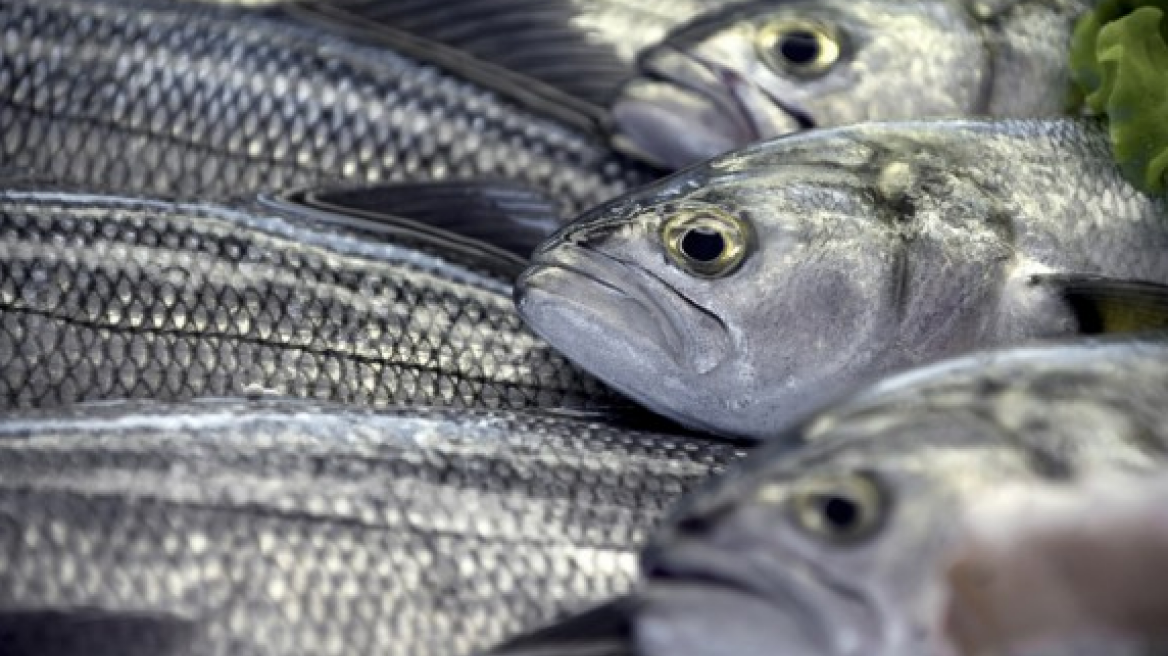 O αλάνθαστος τρόπος να ξεχωρίζεις το φρέσκο ψάρι