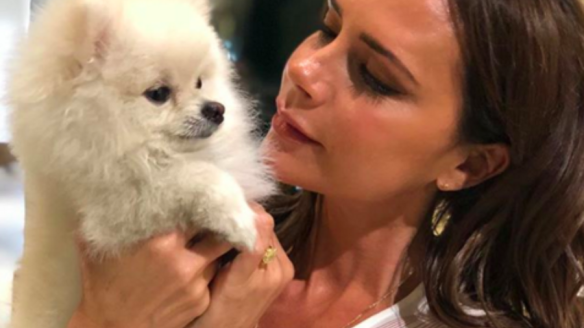 Η Victoria Beckham φόρεσε το επόμενο must-have Τ-shirt