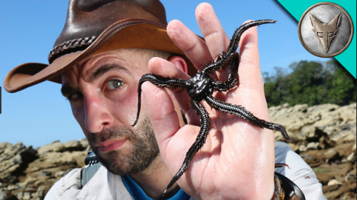 Το Animal Planet συνεργάζεται με σταρ του YouTube για μία νέα σειρά για την άγρια ζωή