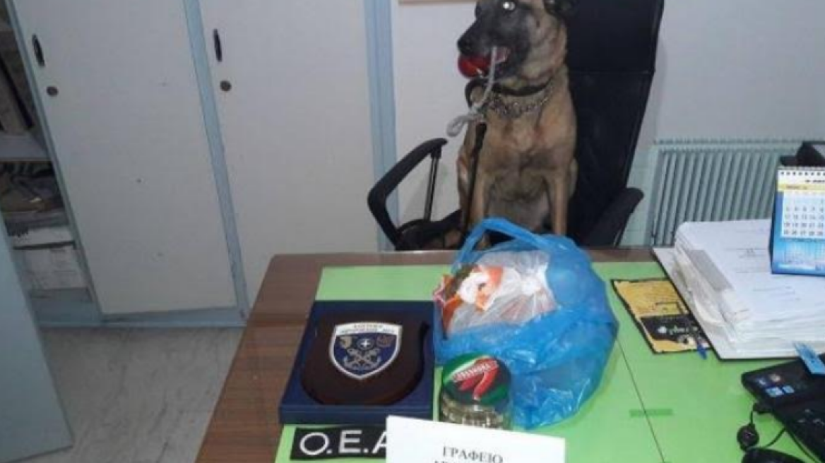 Η «Λούνα» ξετρύπωσε το χασίς σε βαλίτσα στην Χίο