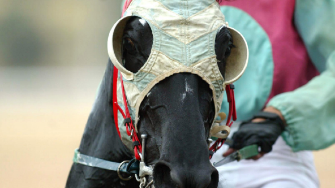 Γιορτή για όλους στον Ιππόδρομο Αθηνών την Καθαρά Δευτερά