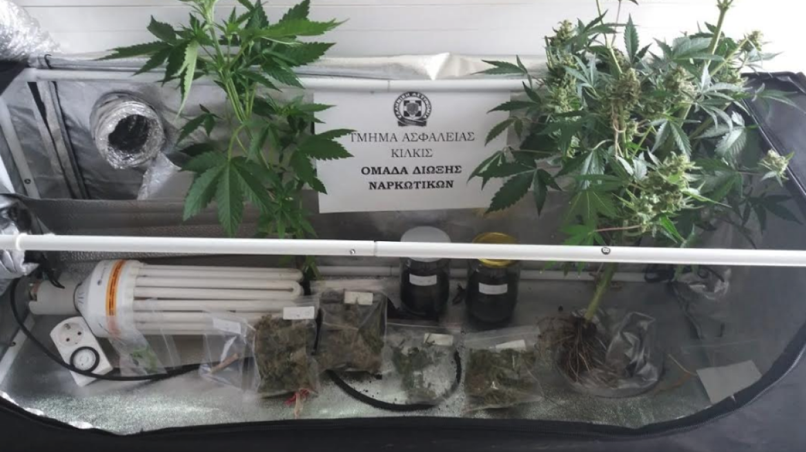 Γυναίκα καλλιεργούσε υδροπονική κάνναβη στο Κιλκίς