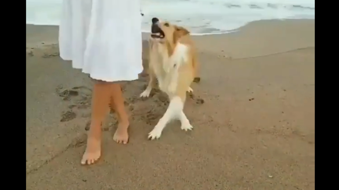 Απολαυστικό βίντεο: Γεννημένος... χορευτής!