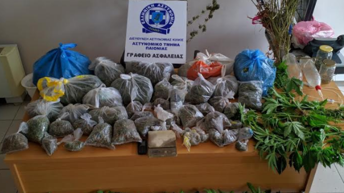 Φυτεία με 72 δενδρύλλια κάνναβης στο Κιλκίς