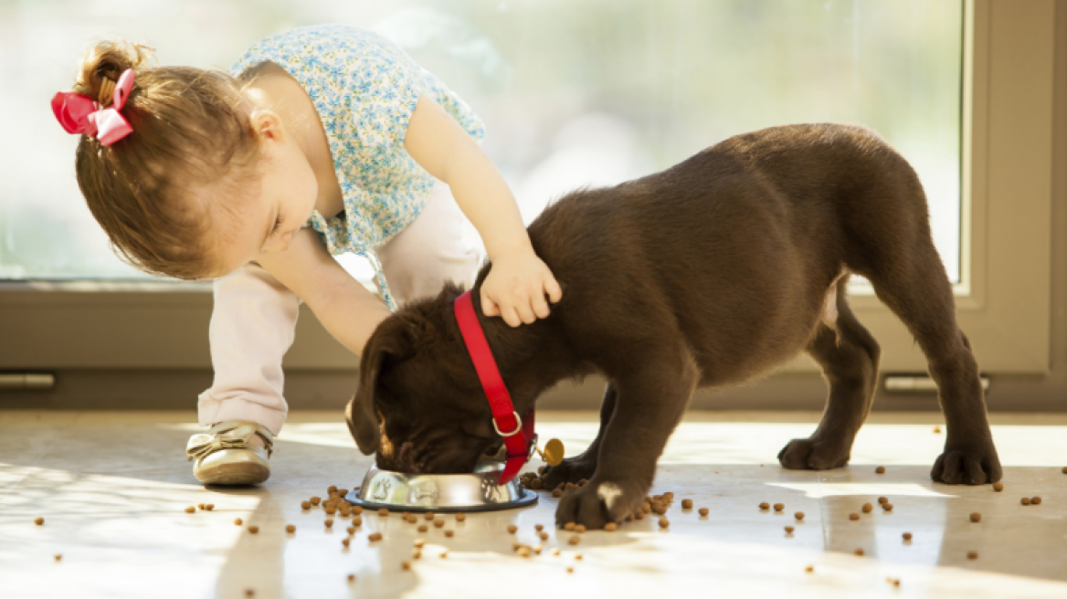 Έρευνα: Τα σκυλιά λειτουργούν ως ηρεμιστικό στα παιδιά
