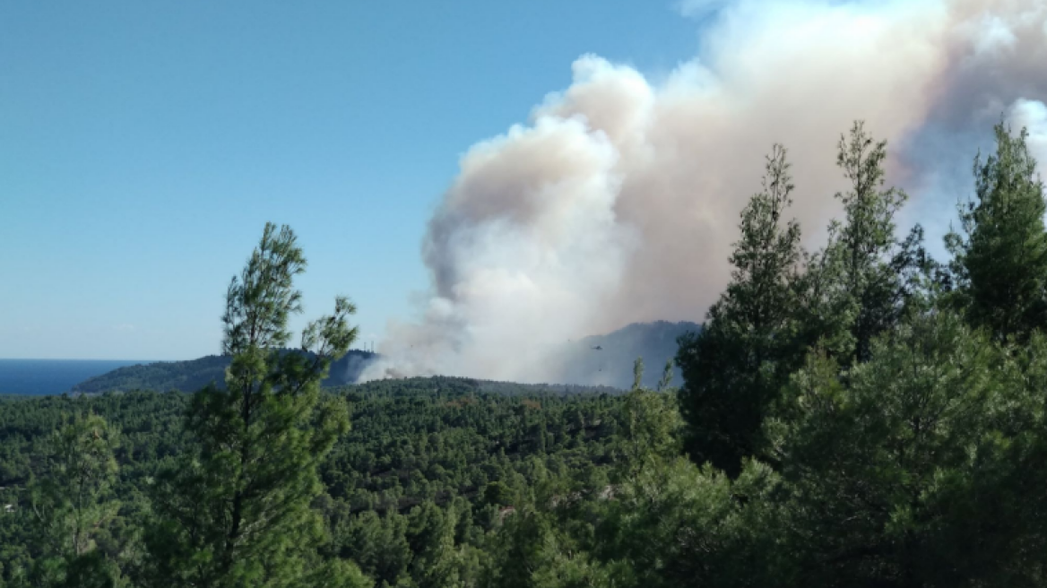 Φωτιά στο δάσος Δραγουντέλι στη Χαλκιδική