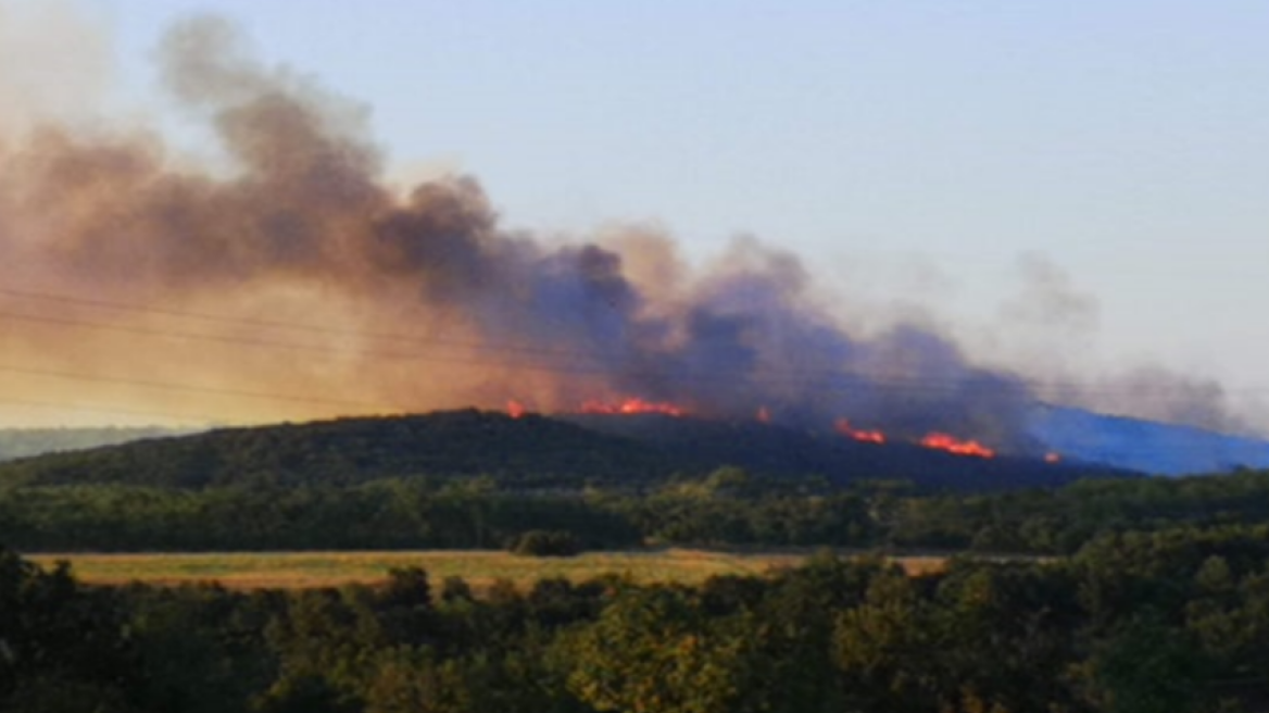 Υπό μερικό έλεγχο η πυρκαγιά στις Φέρες Έβρου