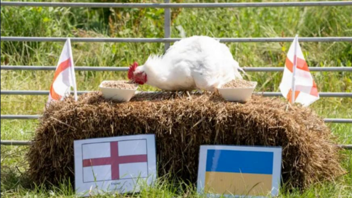  Το... κοτόπουλο της Sun μίλησε: Η Αγγλία θα περάσει την Ουκρανία! 