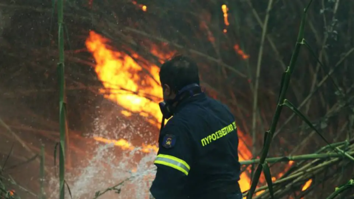Φωτιά σε δασική έκταση στην Επίδαυρο