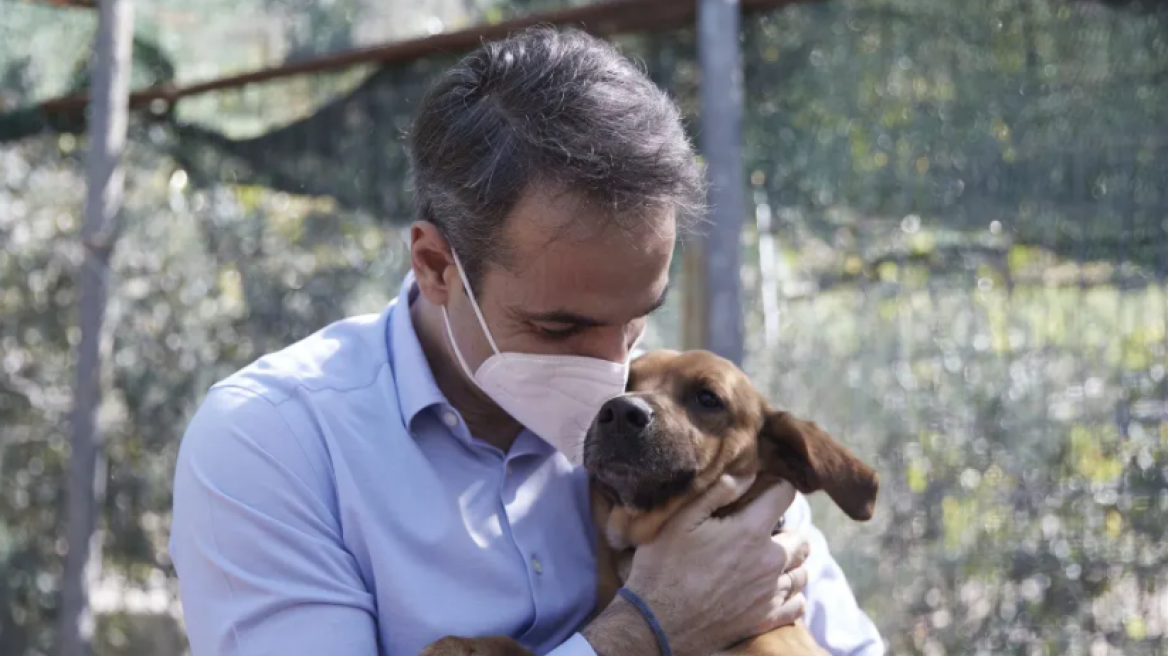 Κυριάκος Μητσοτάκης: Δεν ξεχνάμε αδέσποτα και δεσποζόμενα ζώα τις ημέρες του καύσωνα