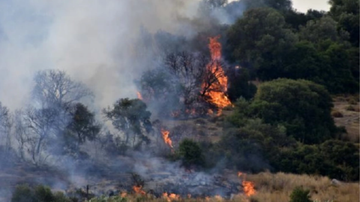 Υπό έλεγχο η φωτιά στο Μαρτίνο Φθιώτιδας