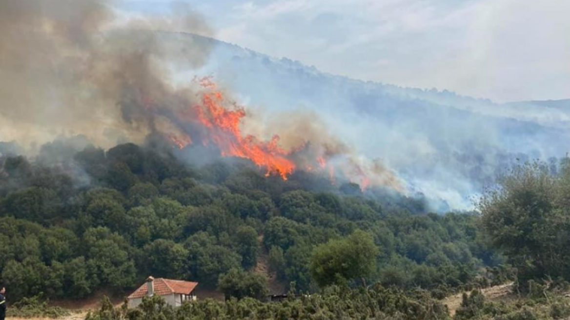 Φωτιά στο Σαραντάπορο Ελασσόνας στη Λάρισα