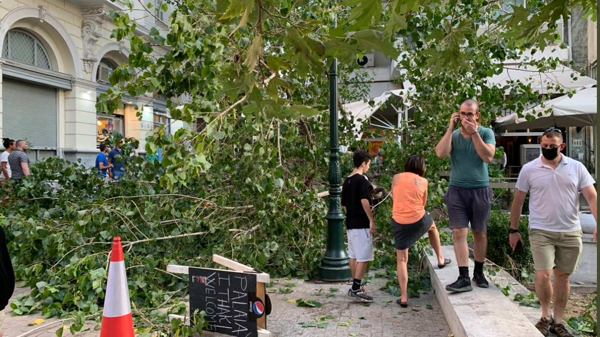 Πτώση δέντρου σε εστιατόριο στο κέντρο της Αθήνας – Πάιατ και Μενέντεζ δειπνούσαν εκεί