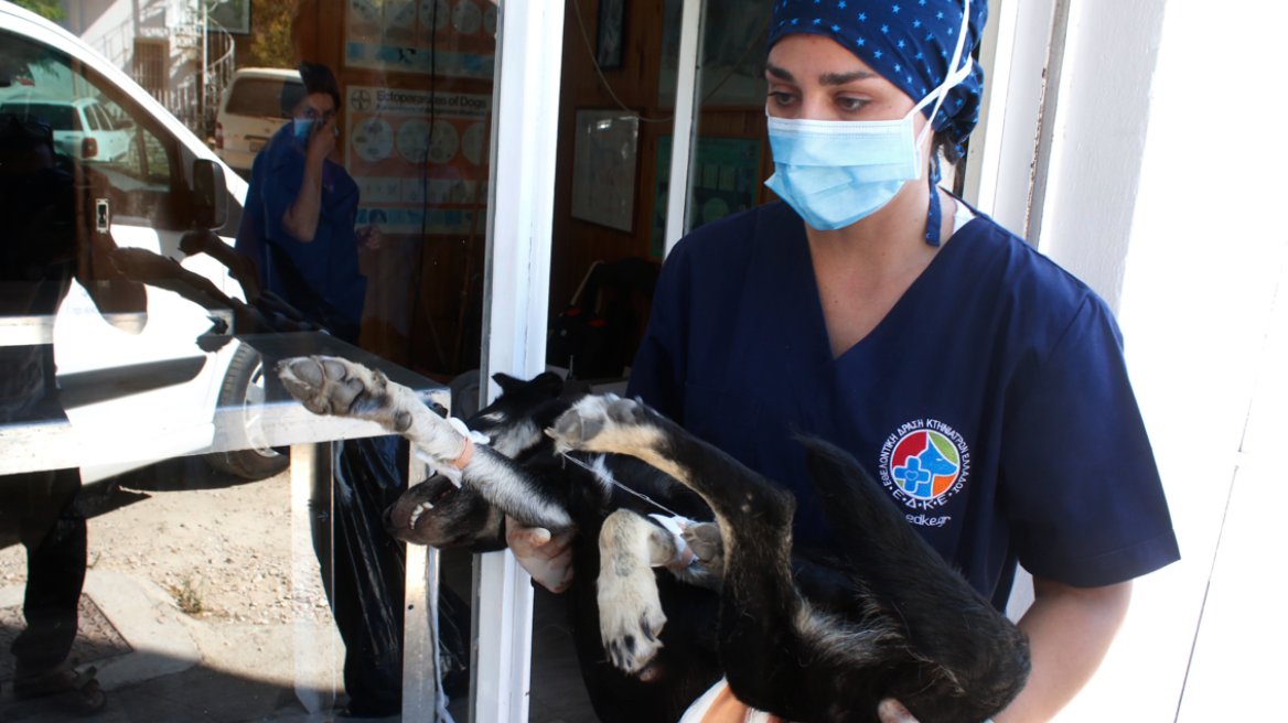 ΑΣΕΠ: 16 προσλήψεις στην Περιφέρεια Αττικής - Ποιους αφορά