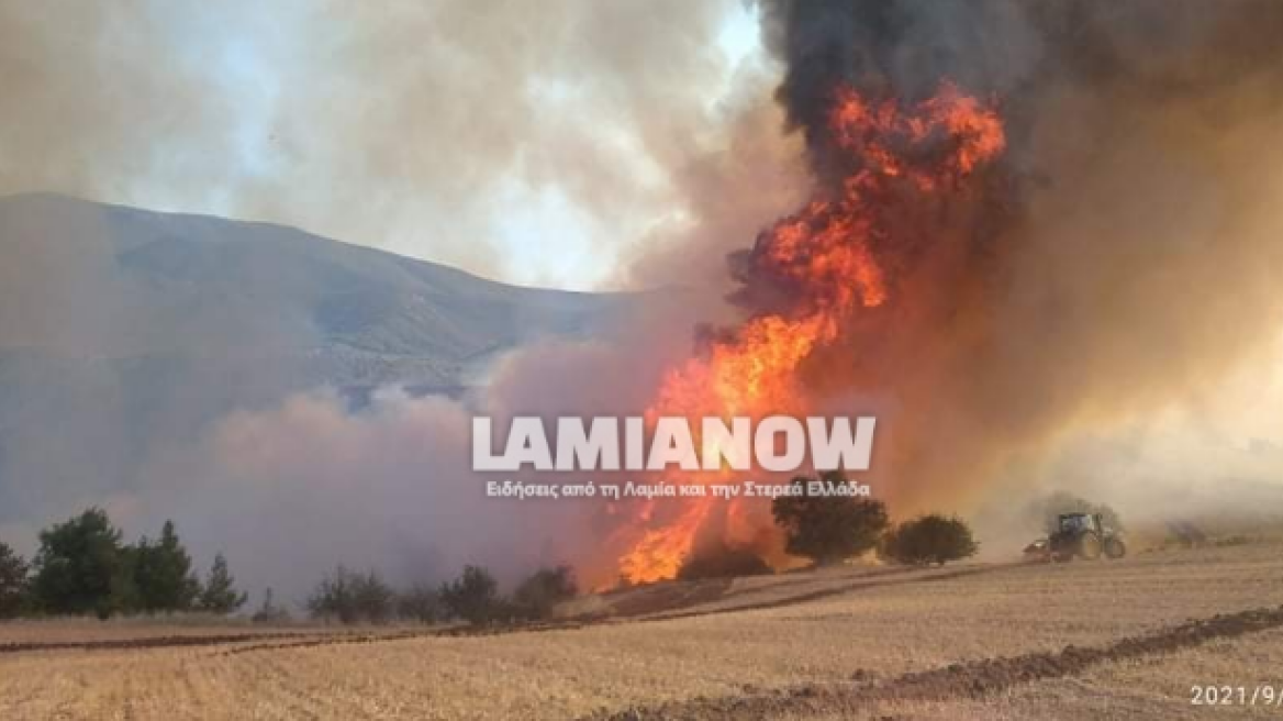 Φωτιά στην Αταλάντη - Επιχειρούν δύο αεροσκάφη