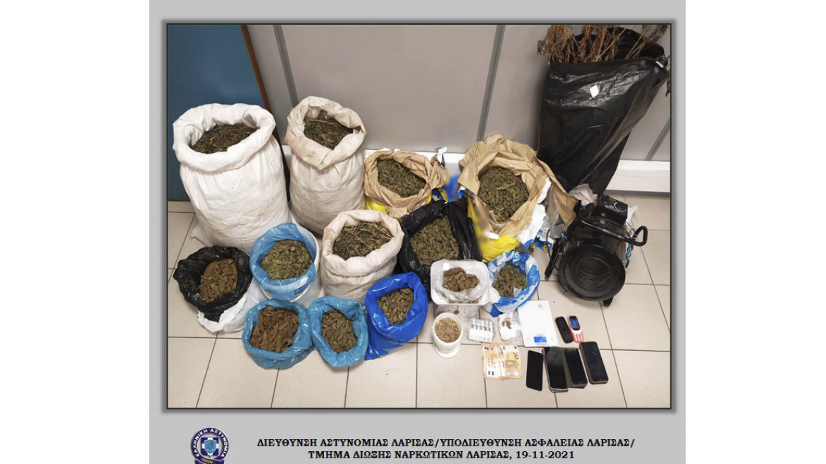 Λάρισα: Πόζαραν πλάι σε... χασισοφυτεία και ξετρύπωσαν «επιχείρηση» παραγωγής κάνναβης