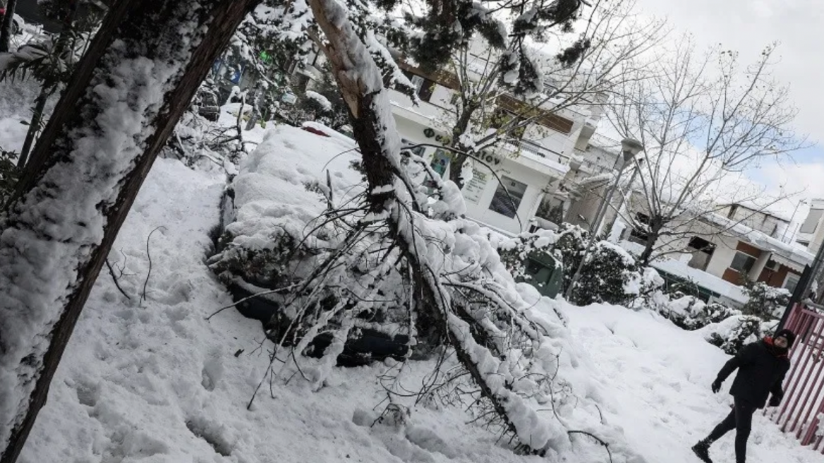 Έτσι θα αποζημιωθείτε για ζημιές από καιρικά φαινόμενα