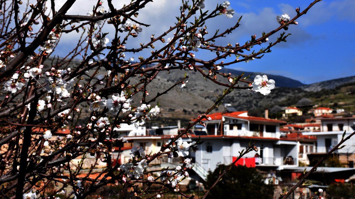 Καιρός στην Αθήνα: Θερμοκρασίες Άνοιξης το Σάββατο 