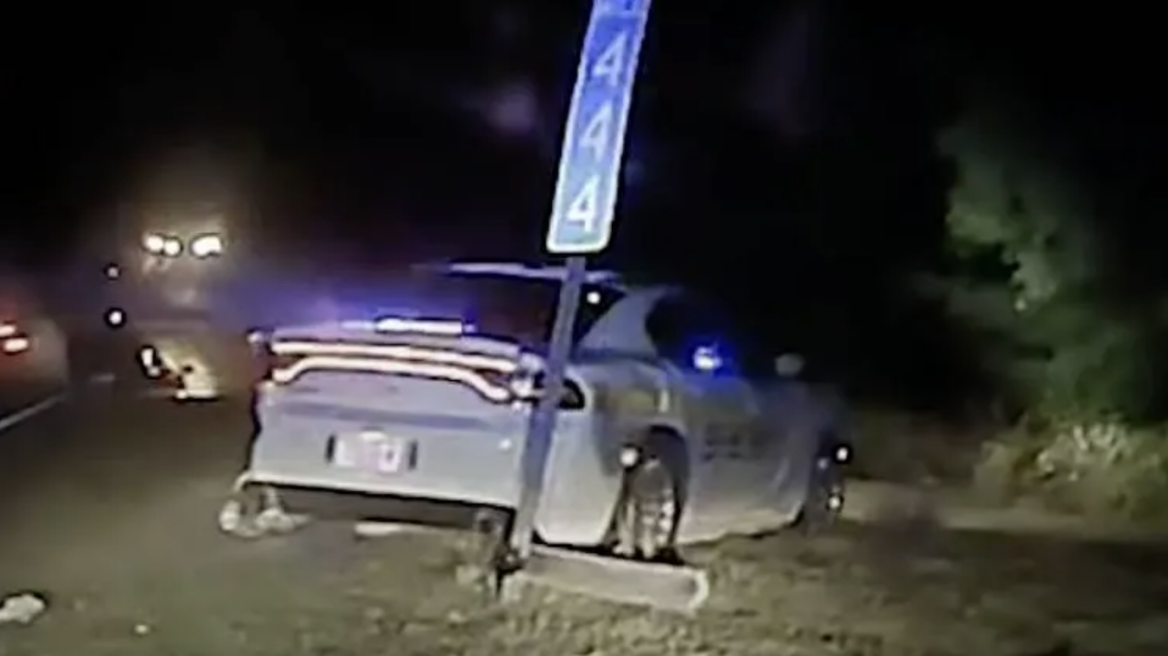 Κύριε Αστυνομικέ μου, έβλεπα μια ταινία! (video)