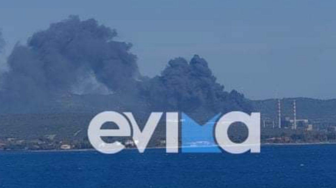 Υπό έλεγχο η μεγάλη φωτιά κοντά στο εργοστάσιο της ΔΕΗ στο Αλιβέρι