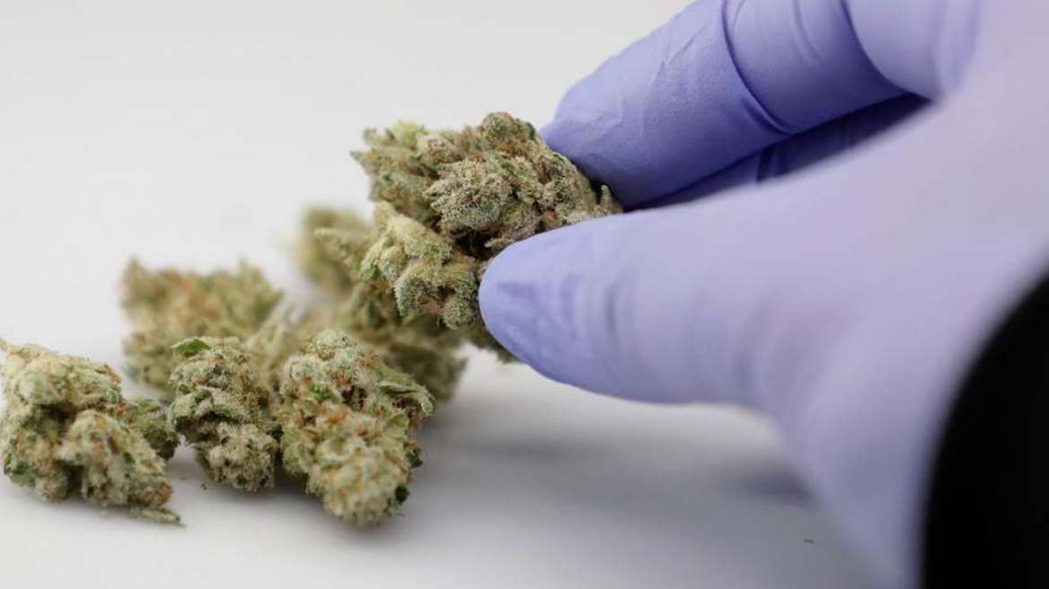 Καλλιεργούσαν φυτεία με οπιούχες παπαρούνες στη Ρόδο