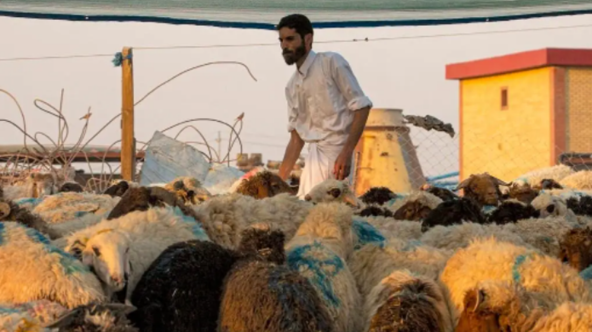 Ιράκ: Νέος θάνατος εξαιτίας του αιμορραγικού πυρετού Κριμαίας-Κονγκό, που εξαπλώνεται και σε άλλες επαρχίες