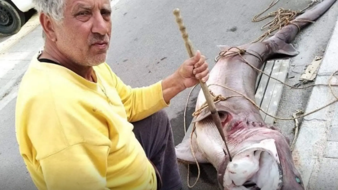 Χανιά: Ψαράδες έπιασαν… καρχαρία 200 κιλών!