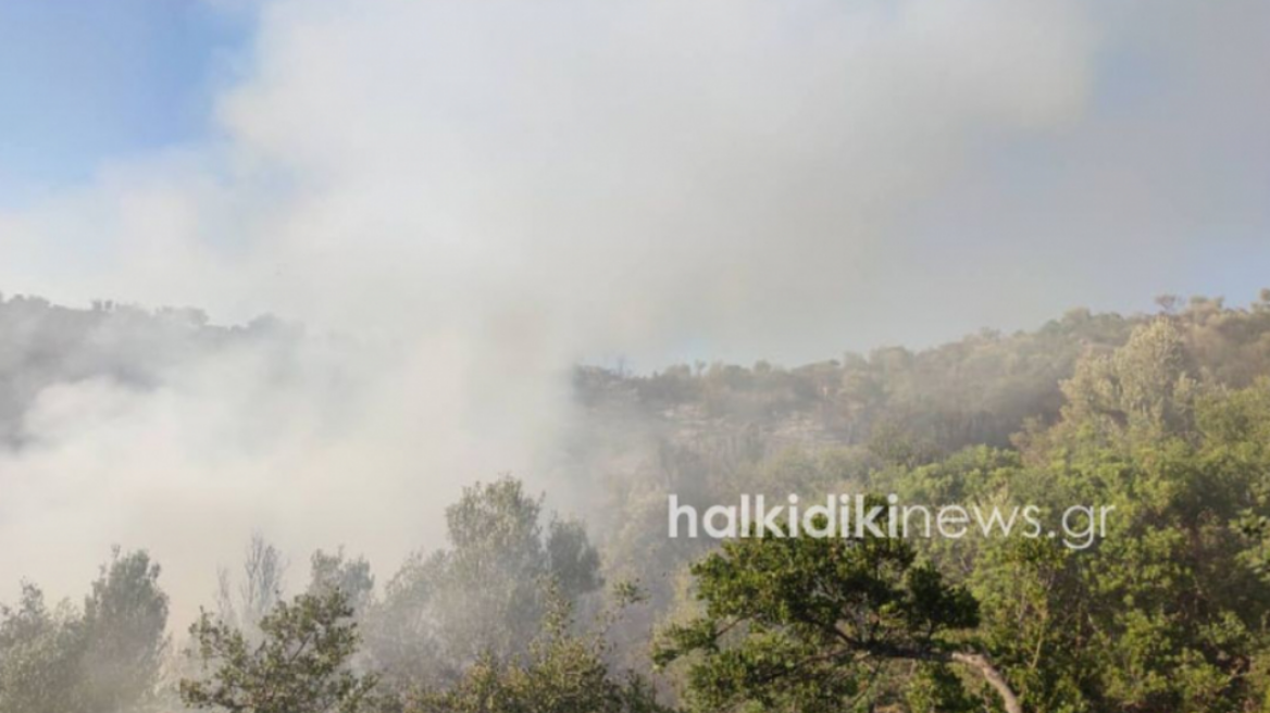 Φωτιά τώρα:  Σε πλήρη εξέλιξη η πυρκαγιά στο Άγιον Όρος, δύο τα πύρινα μέτωπα