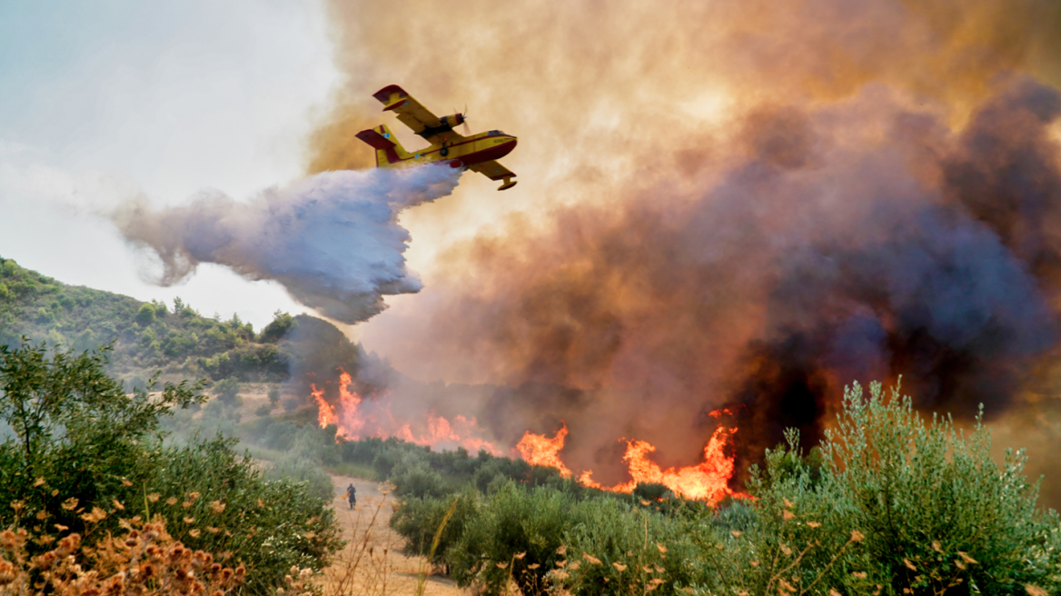 Φωτιές: Πολύ υψηλός κίνδυνος πυρκαγιών και σήμερα, δείτε τις περιοχές