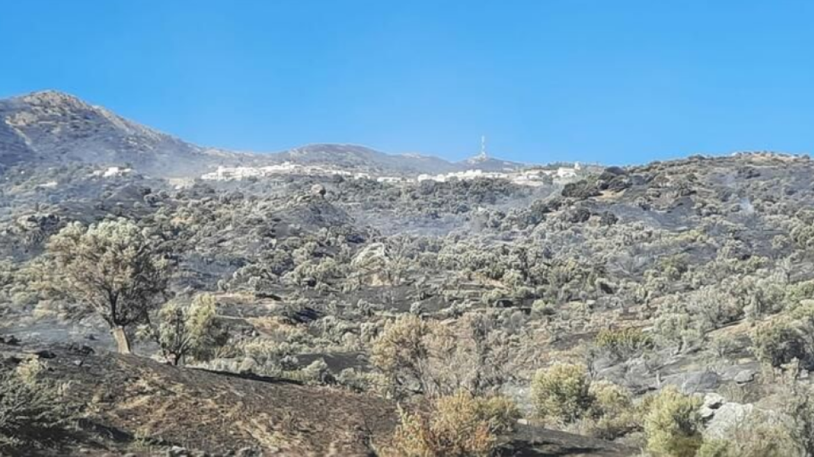 Φωτιές: Καλύτερη η εικόνα των πυρκαγιών σε Ρέθυμνο και Πάτρα