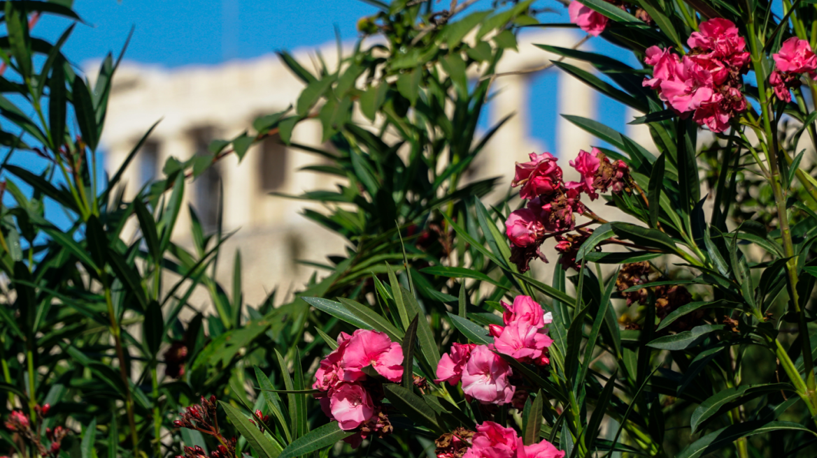 Καιρός: Τοπικές νεφώσεις στα ανατολικά το Σάββατο - Παραμένει αίθριος μέχρι την Τρίτη