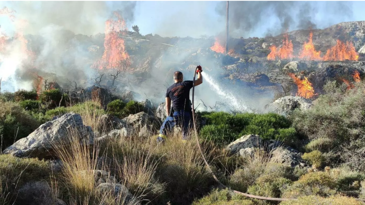 Φωτιά τώρα στο δάσος της Κέρης - Μεγάλη επιχείρηση της Πυροσβεστικής	