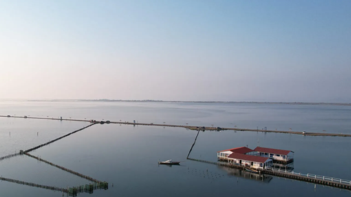 Μεσολόγγι: Βιολογικοί ορυζώνες με θαλάσσια αύρα