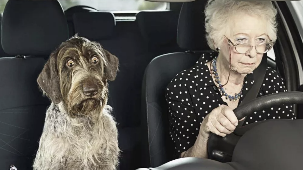 Νοσηλεύτηκες; Σε αναστολή η άδεια οδήγησης!