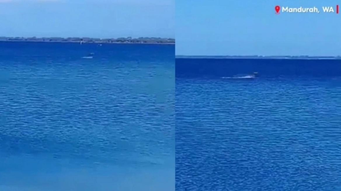 Απίστευτο σκηνικό με καγκουρό να περπατάει στη θάλασσα (vid)