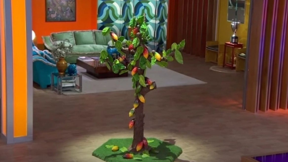 Ένα δέντρο με 95 κιλά σοκολάτας: H πιο ακραία δοκιμασία γλυκού στο ισπανικό MasterChef