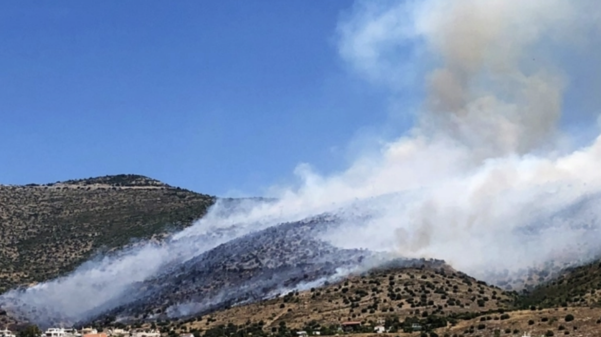 Λάρισα: Υπό μερικό έλεγχο η φωτιά στο Κυψελοχώρι - Δείτε βίντεο
