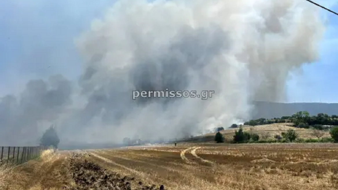Φωτιά τώρα στο Καπαρέλλι Βοιωτίας - Δείτε βίντεο