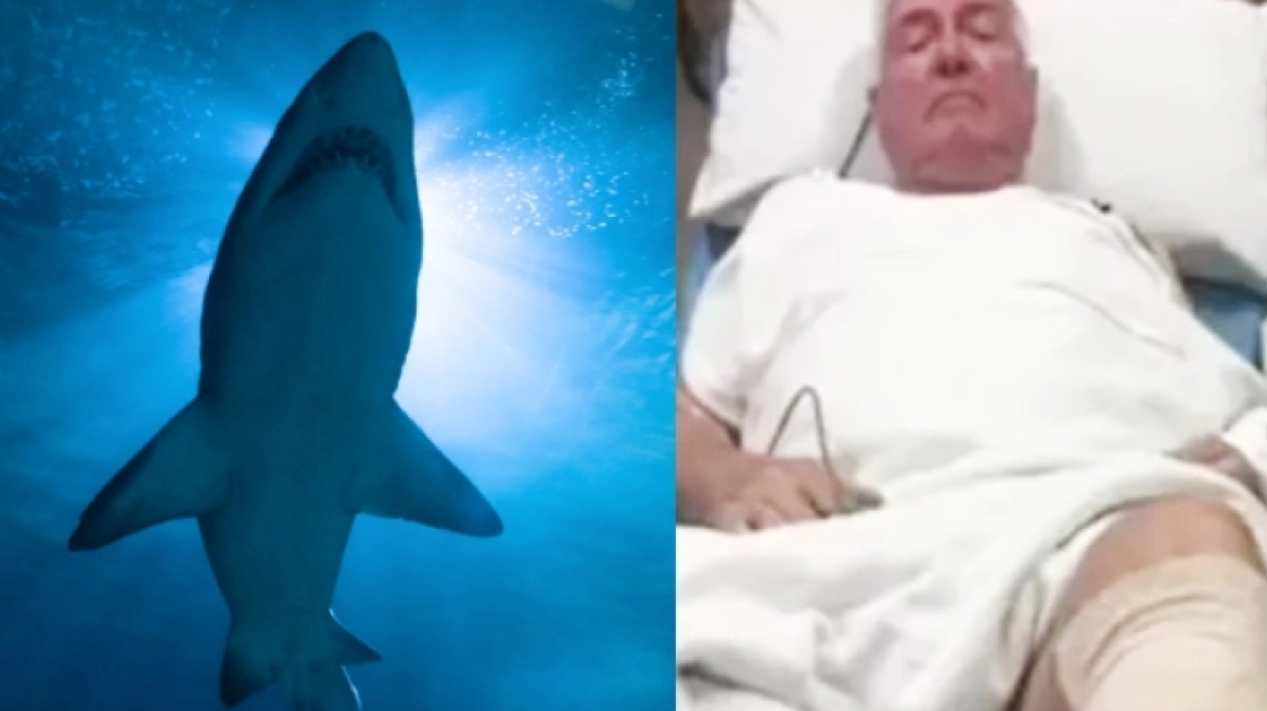 Καρχαρίας επιτέθηκε σε ηλικιωμένο και εκείνος τον εξουδετέρωσε με μια γροθιά (vid)