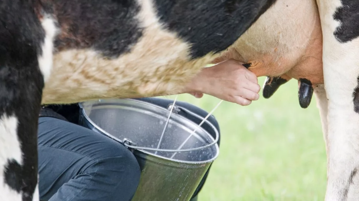 Δεν είναι αστείο: Αυτοκίνητα που θα καίνε… γάλα!