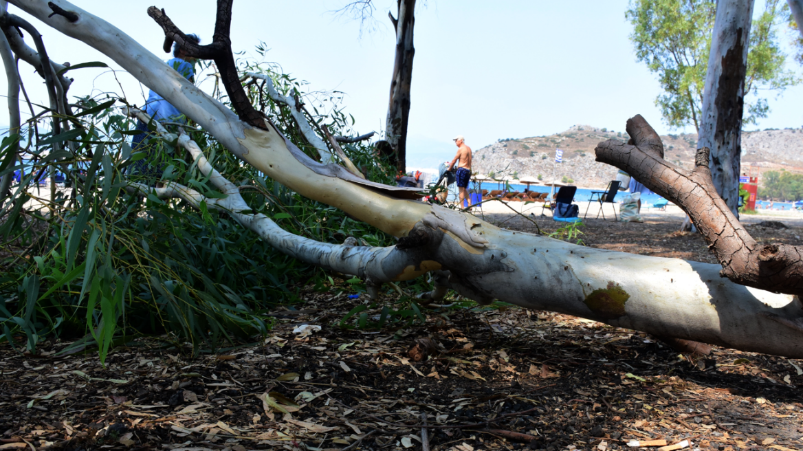 Η κακοκαιρία «Daniel» προκάλεσε προβλήματα σε περιοχές των δήμων Επιδαύρου και Ερμιονίδας	