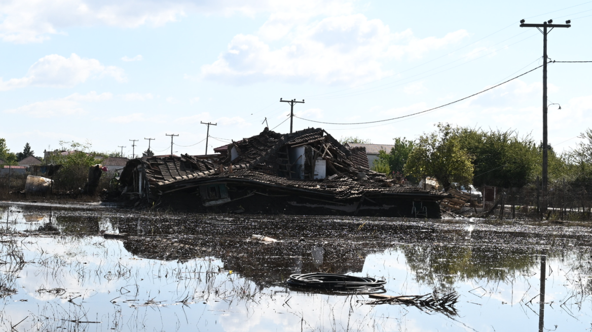 Κακοκαιρία Daniel: Οι διοικήσεις των ΑΕΙ στηρίζουν τους πλημμυροπαθείς στη Θεσσαλία