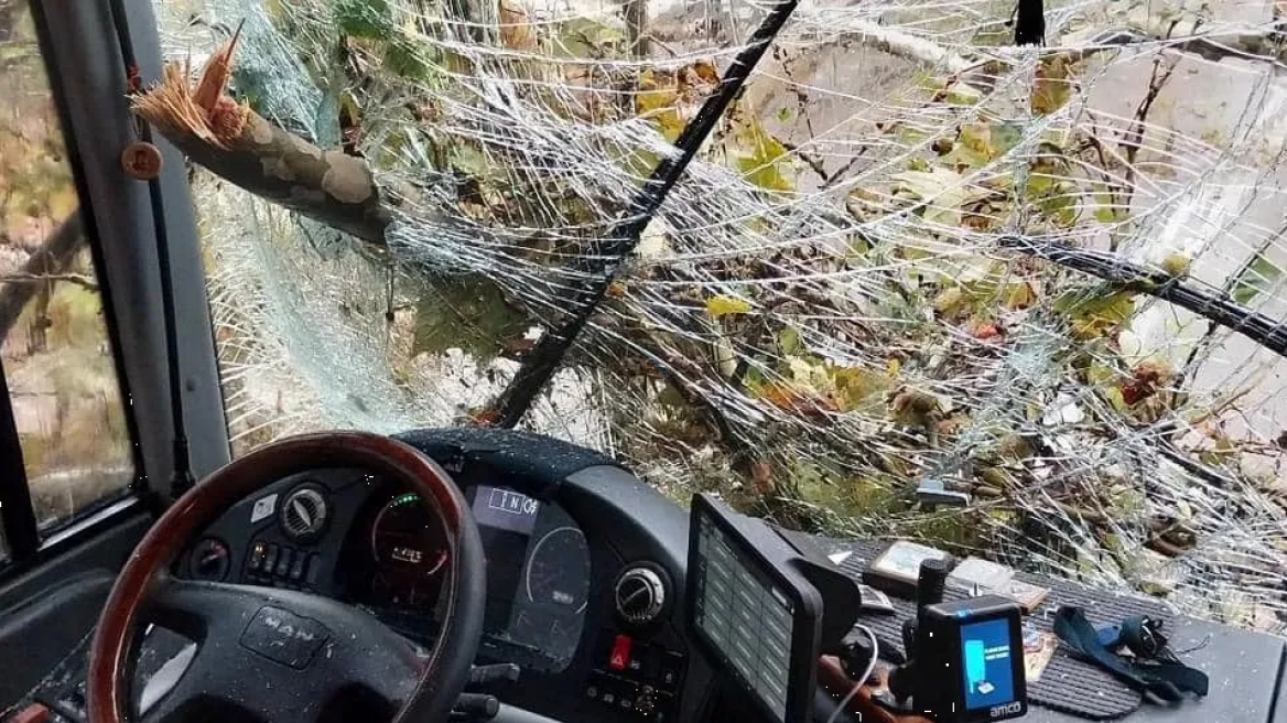 Κακοκαιρία: Η στιγμή που κλαδί διαλύει το παρμπρίζ λεωφορείου στην Ξάνθη - Δείτε βίντεο