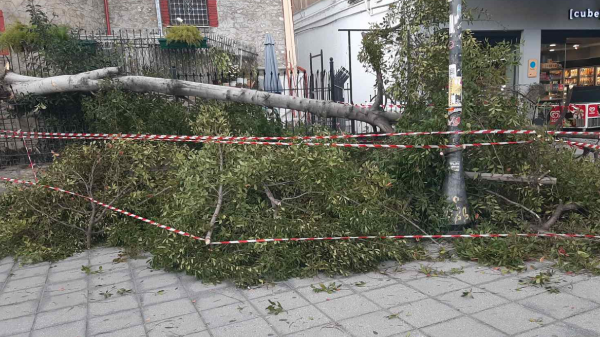 Στις 288 οι κλήσεις στην Πυροσβεστική ανά την Ελλάδα το Σάββατο