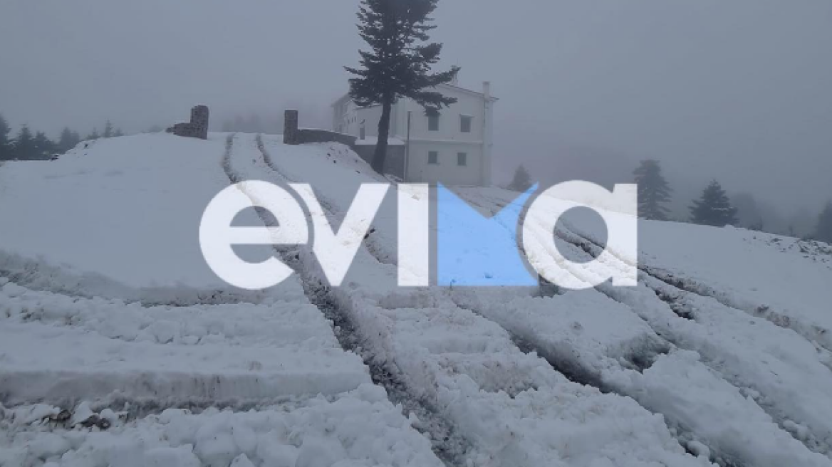 Δείτε φωτογραφίες από τα χιόνια στην Εύβοια - Το έστρωσε στα ορεινά της Στενής