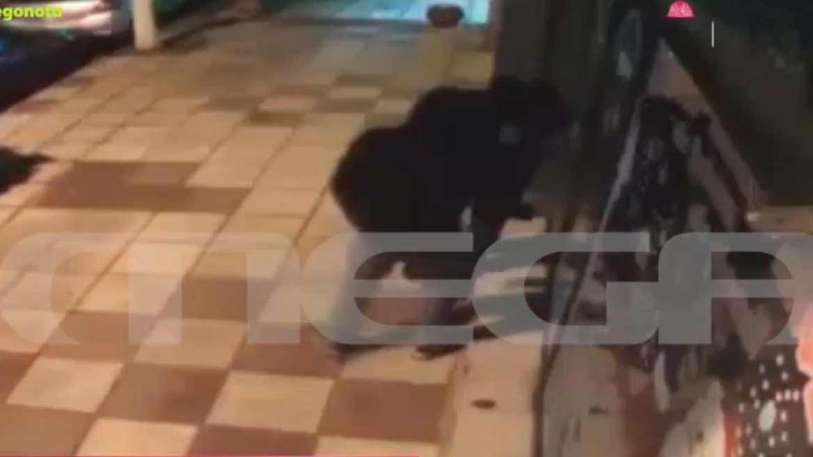 Βίντεο -  Ιδιοκτήτης ζαχαροπλαστείου στη Θεσσαλονίκη έρχεται πρόσωπο με πρόσωπο με διαρρήκτες