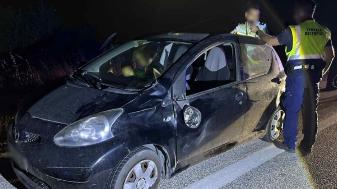 Καστοριά: Αρκούδα συγκρούστηκε με αυτοκίνητο στην αερογέφυρα του Άργους Ορεστικού