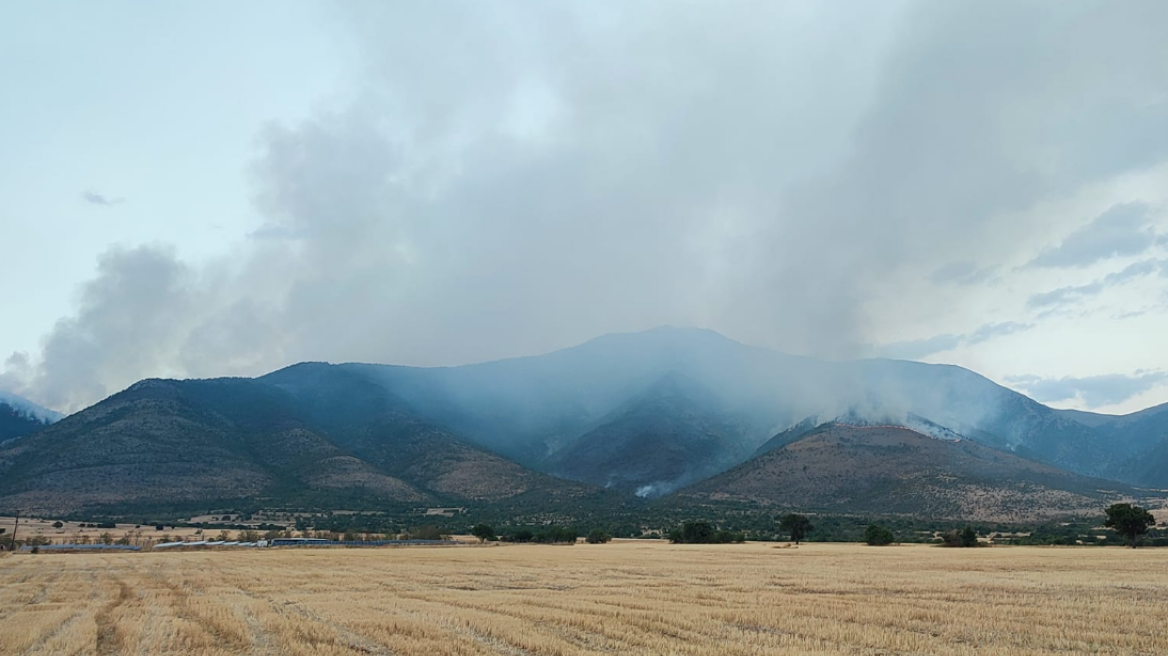 Μαίνεται η φωτιά στο Αχλαδοχώρι Σερρών - Ενισχύθηκαν οι δυνάμεις της Πυροσβεστικής