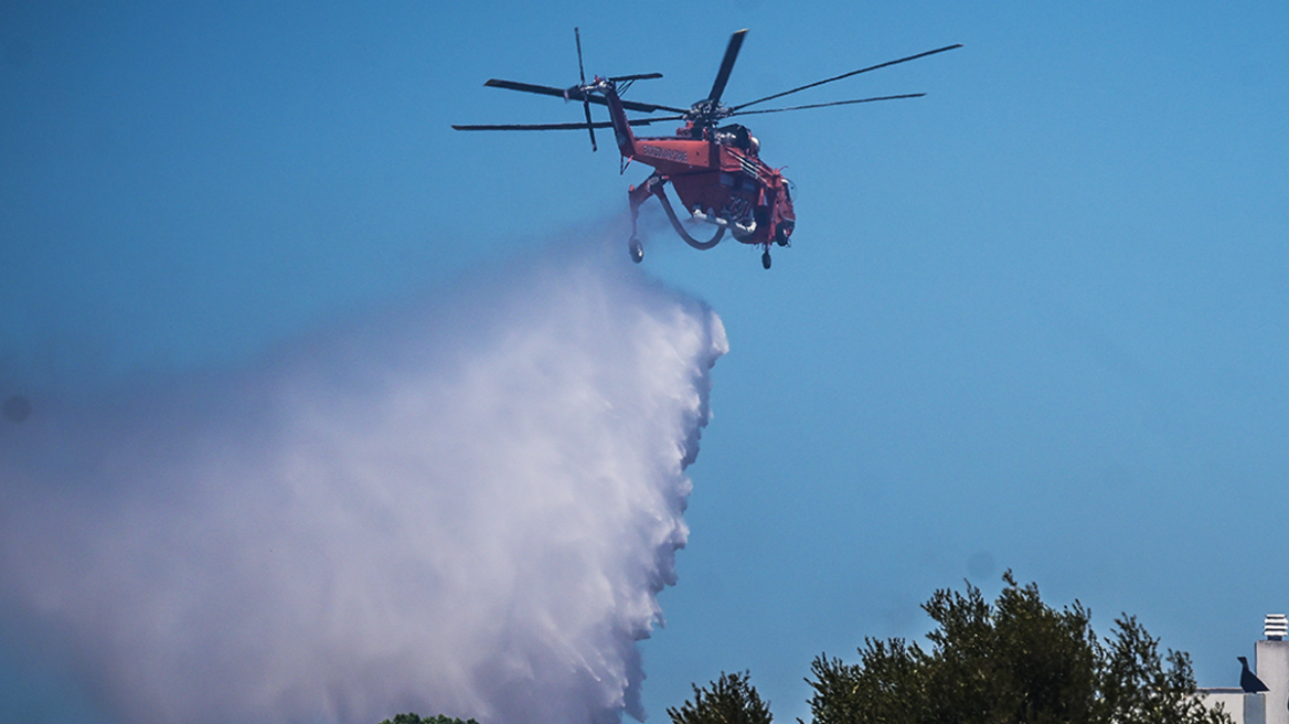 Φθιώτιδα: Μεγάλη κινητοποίηση της Πυροσβεστικής για φωτιά στον Λόγγο 
